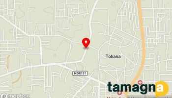 Ashok - Tohana