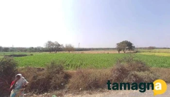 Bori Dandi Multiservises - Akkalkot, Umarge