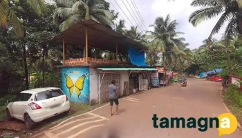 D - Tech It Services - Arambol Beach Rd