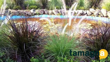 Lumbini Farms - Dapoli, Vanoshi Tarf Panchanadi