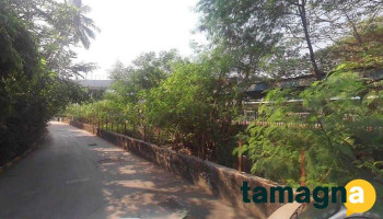 Shree Infotech - Mumbai