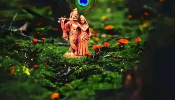 Shree Radhe Computer And Laptop Point - Safidon