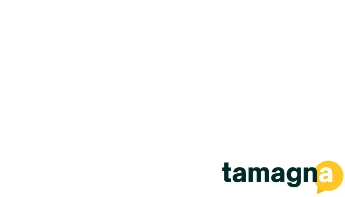 Absoft Solutions -    5 Star Certified Tally Partner By Owner - Dombivli