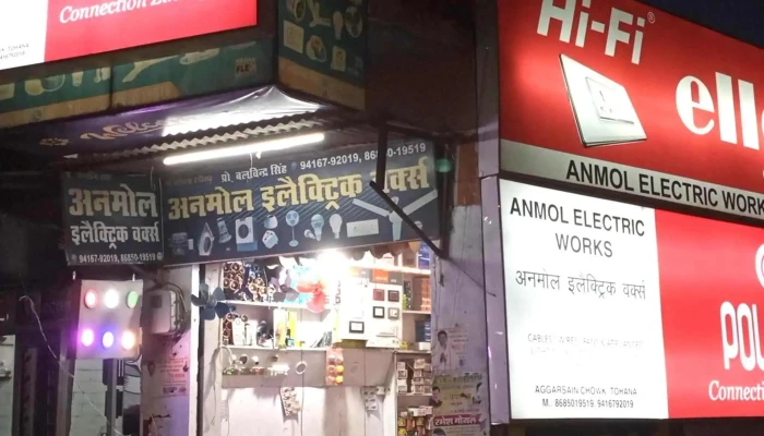 Anmol Electronics -  Electronics Store - Tohana
