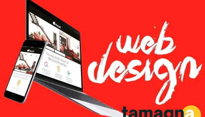 Best Wordpress Shopify Website Design High Quality Services In Hansi All - Hansi