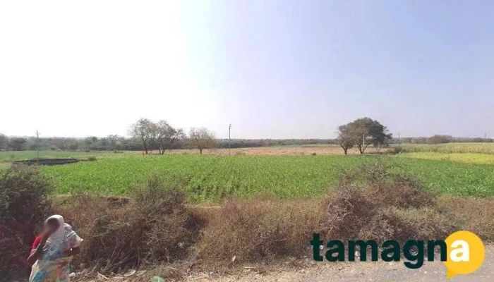 Bori Dandi Multiservises - Akkalkot, Umarge