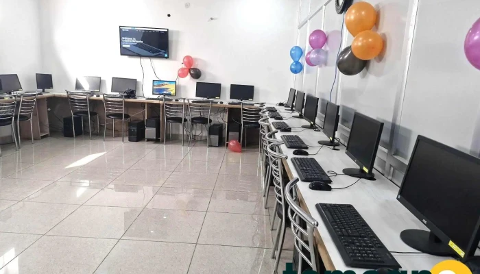 Creative Networks -  All - Tohana