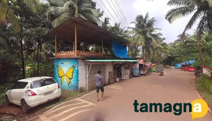 D - Tech It Services - Arambol Beach Rd