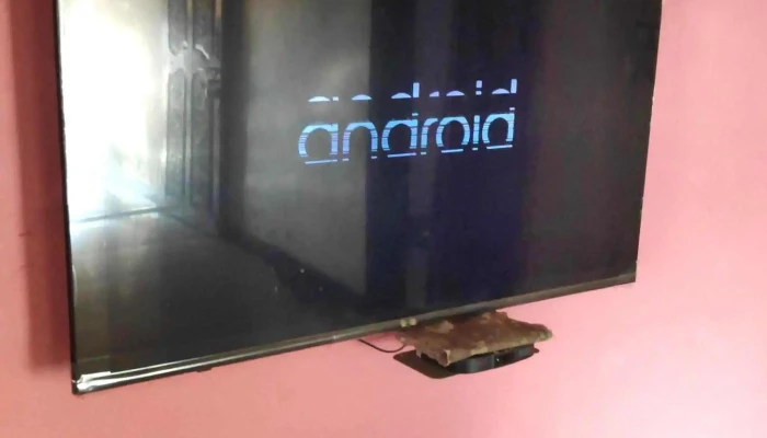 Evergreen Electronics -  Website - Alibag