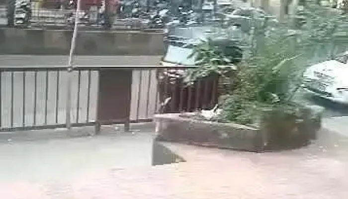 Ideal Center Of Computer Education -  Videos - Navi Mumbai