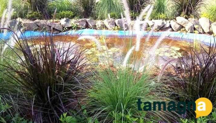Lumbini Farms -  All - Dapoli, Vanoshi Tarf Panchanadi