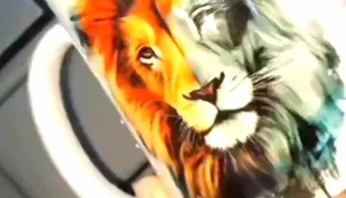 Mac Designs -    Printing Press   Pharma Labels   Digital Printing Videos - Pinjore