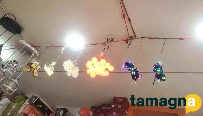 Mahadev Electrical Store -  By Owner - Naraingarh