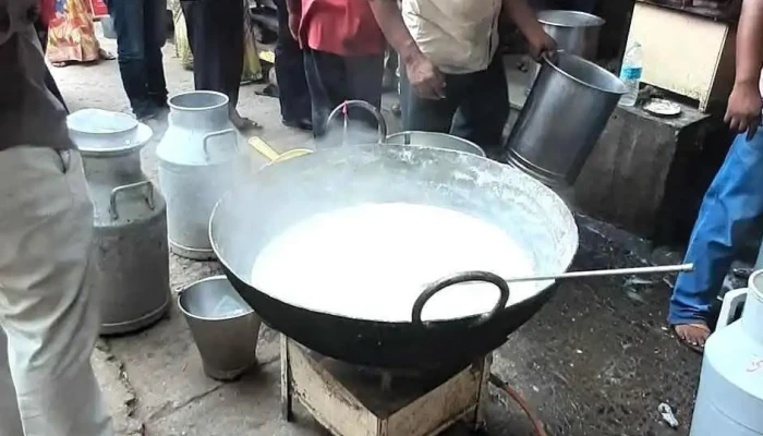 Manik Milk Dairy -  Inside - Dhule