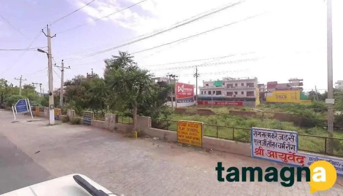 Mr. Bazar - Narnaul