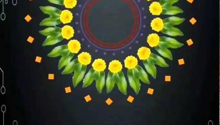 Nit Computer Institute -  Videos - Akola