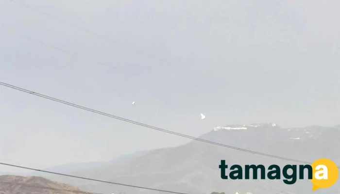 Raj Electronics In Pinjore -  Videos - Pinjore