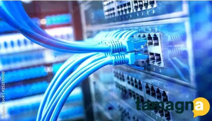 Royal Internet -  By Owner - Narnaul