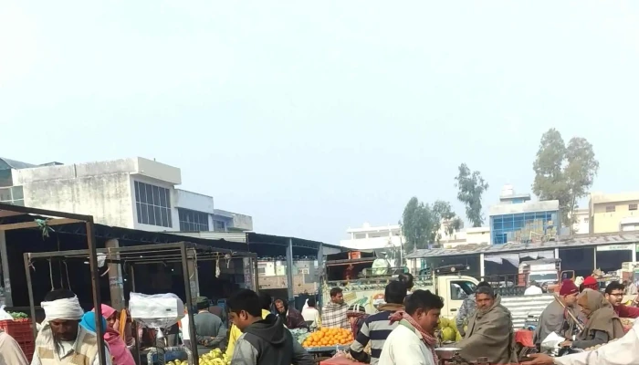 Satpal Karyana Store -  Number - Jind