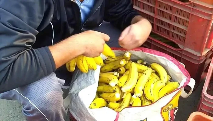 Satpal Karyana Store -  Videos - Jind