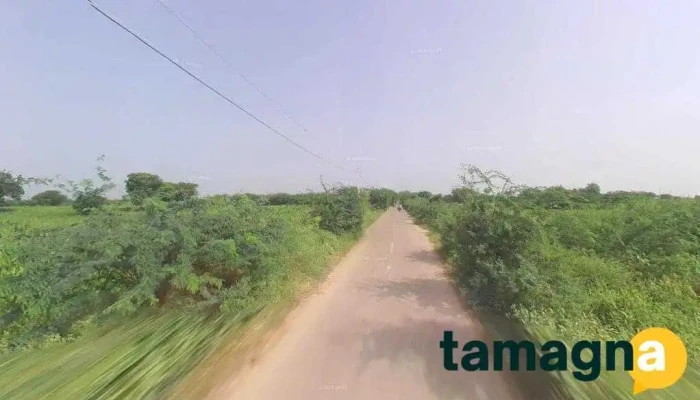 Shama Photostate - Punhana