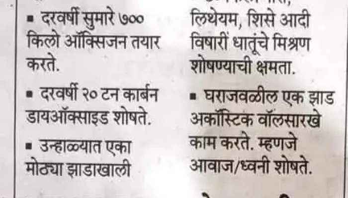 Shivaji Computer Malti Services Gangakhed -  By Owner - Gangakhed