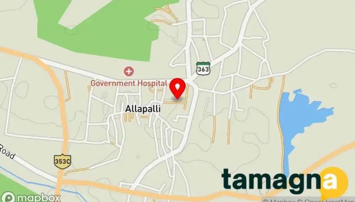 map of Shree Computer Allapalli Educational institution in Allapalli