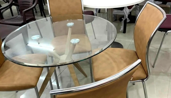 Shri Natraj Furnitures -  Chair - Narnaul