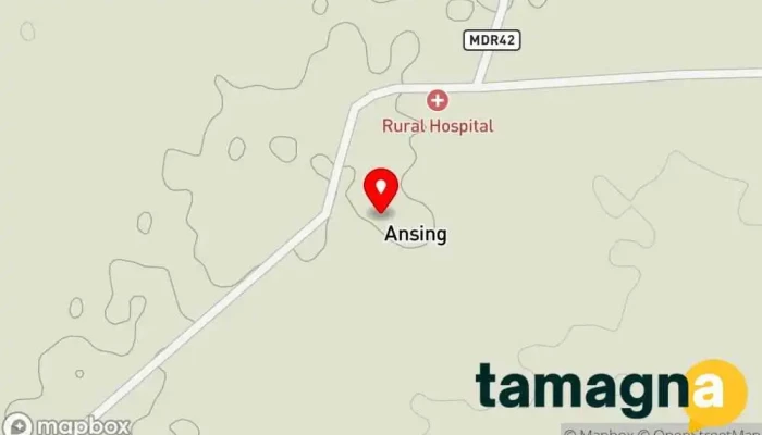 map of Shrungrushi Computer And Online Services Store in Ansing