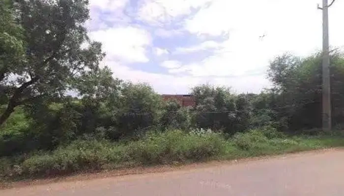 Soyab Csc Center -  Street View 360deg - Punhana