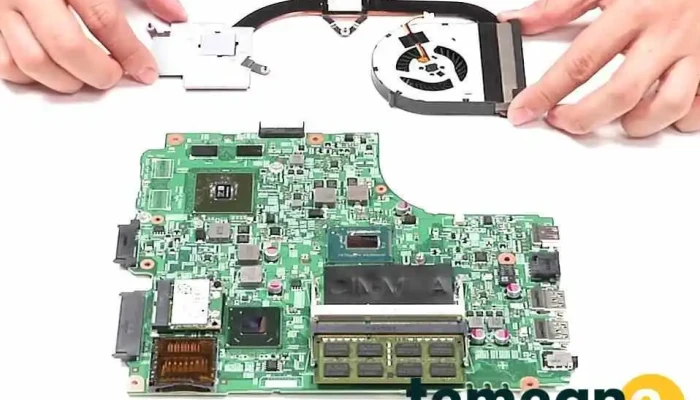 Swaraj Computers -  Videos - Chanai