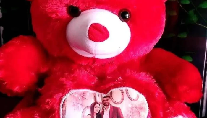 Tamanna Studio Shop No 23 Sec 3 Main Market Rohtak Do Rohtak Haryana 124001 All - Rohtak