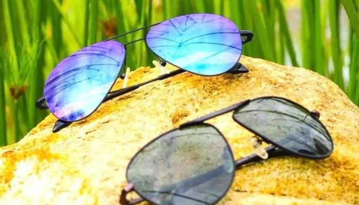 Titan Eye At Singhana Road Narnaul Sunglasses - Narnaul