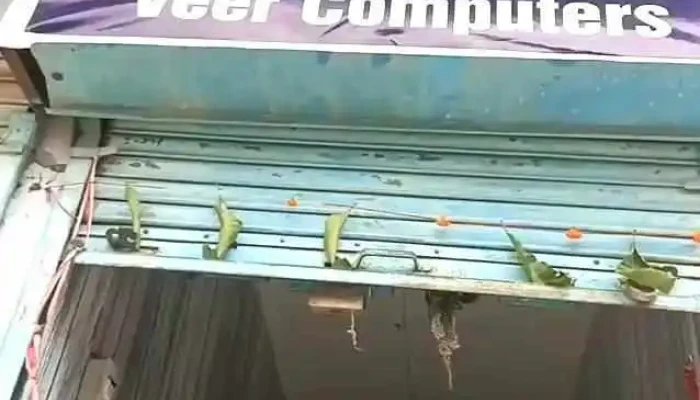Veer Computers Accessories Videos - Pehowa