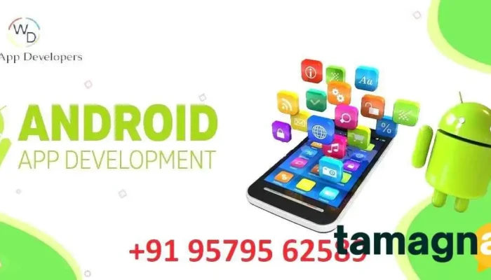 Webapp Developers -  By Owner - Dhule